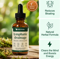 Lymphatic Drainage Drops - 1 Bottle